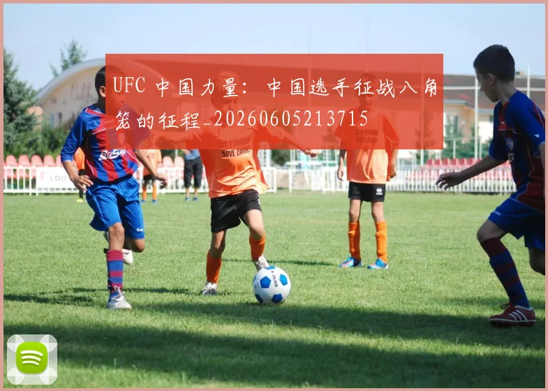 UFC 中国力量:中国选手征战八角笼的征程_20260605213715